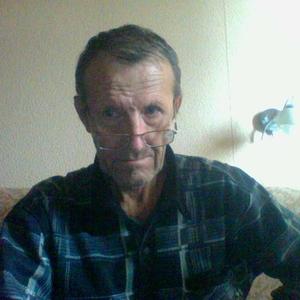 Владимир, 79 лет, Краснодар
