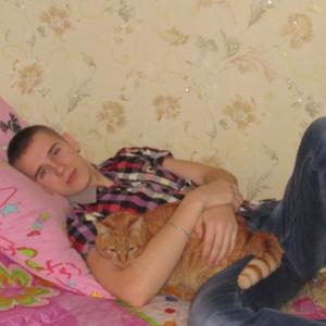 Денис, 28 лет, Владимир