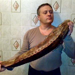 Витус Беринг, 54 года, Ростов-на-Дону
