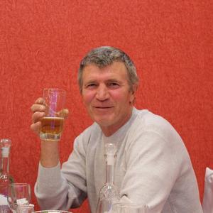 Vladimir, 71 год, Ульяновск