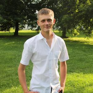 Владимир, 33 года, Тула