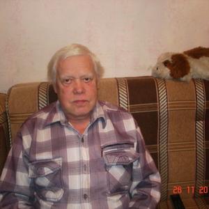 Олег, 82 года, Тула