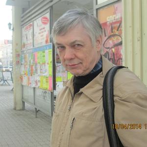 Ник, 70 лет, Екатеринбург