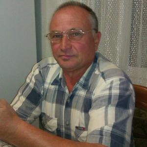 Андрей Сныткин, 64 года, Иваново