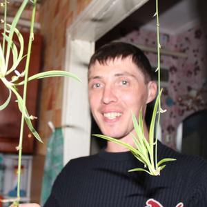 Евгений, 39 лет, Кудымкар