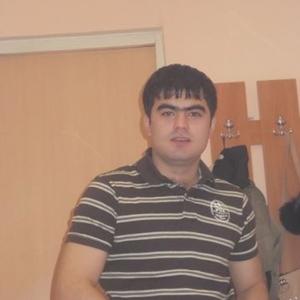Sultan, 34 года, Великий Новгород