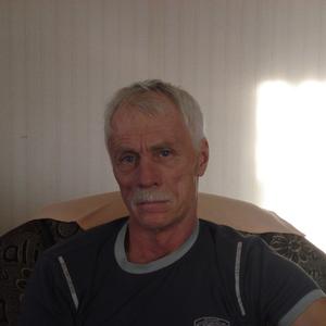 Александр Рогозин, 67 лет, Южноуральск