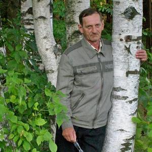 Виталий Коскин, 73 года, Иваново
