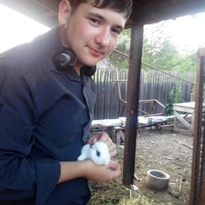 Сергей, 27 лет, Железногорск-Илимский