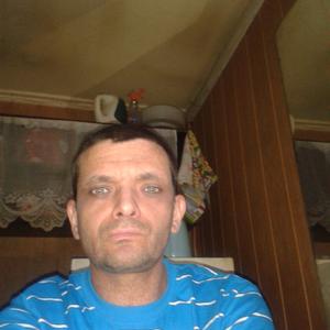 Михаил, 46 лет, Саранск
