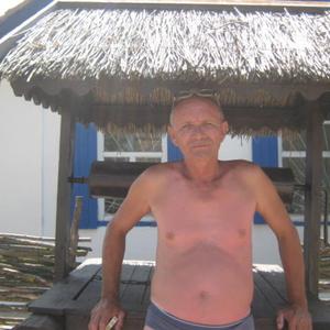 Михаил, 64 года, Тула