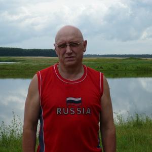 Владимир, 68 лет, Ребриха