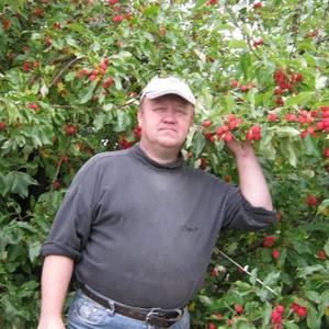 Сергей Гайворонский, 61 год, Северодвинск