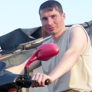 Aleksandr Horocih, 47 лет, Новомосковск