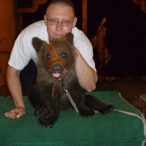 Сергей, 46 лет, Кострома