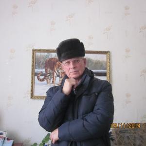 Александр Баланев, 66 лет, Свободный
