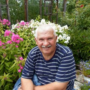 Анатолий, 76 лет, Артемовский