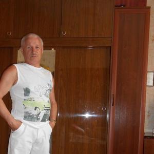 Владимир Емушев, 72 года, Тейково
