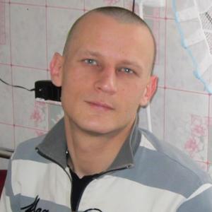 Алексей Ткалич, 41 год, Павловск