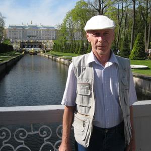 Naill, 68 лет, Ульяновск
