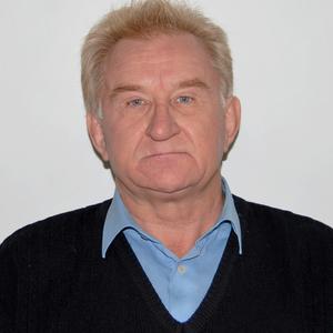 Владимир, 69 лет, Тольятти