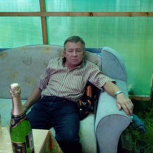 Анатолий, 70 лет, Лесной