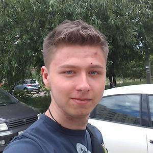 Игорь, 31 год, Кострома