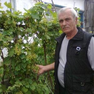 Александр Папсулис, 69 лет, Барнаул