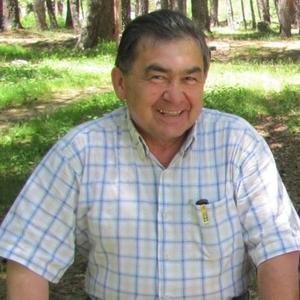 Валерий, 69 лет, Нальчик