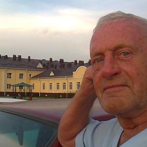 Елисеев Андрей Иванович, 87 лет, Каширское