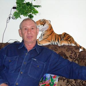 Александр Третьяков, 65 лет, Владивосток