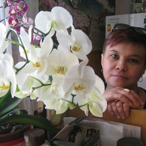 Эльвира, 52 года, Кировград