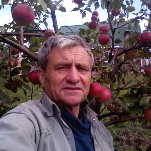Александр, 76 лет, Сергиев Посад