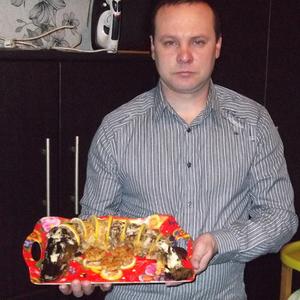 Денис Шевцов, 44 года, Вышний Волочек