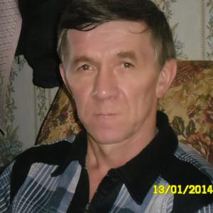 Николай Жиганов, 68 лет, Ярославль
