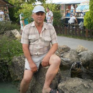 Владимир, 67 лет, Камышлов