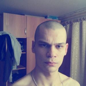 Ярослав, 30 лет, Тамбов