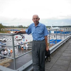 Юрий, 83 года, Брянск