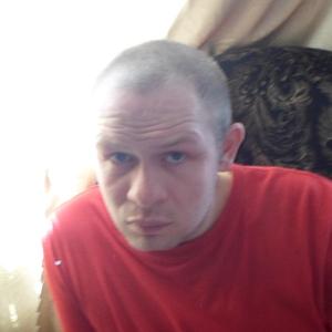 Дмитрий, 40 лет, Белёв