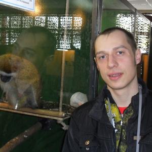 Сергей, 38 лет, Иваново