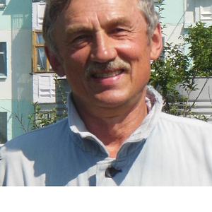 Александр Скрипов, 71 год, Челябинск