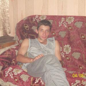 Денис, 43 года, Белово