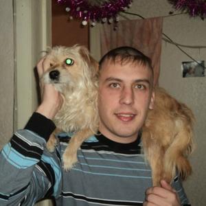 Александр, 41 год, Зеленогорск