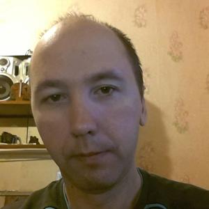 Алексей Никитин, 46 лет, Переславль-Залесский