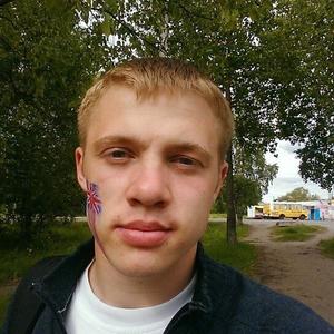 Артём, 32 года, Архангельск