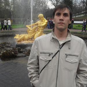 Геннадий , 41 год, Новомосковск