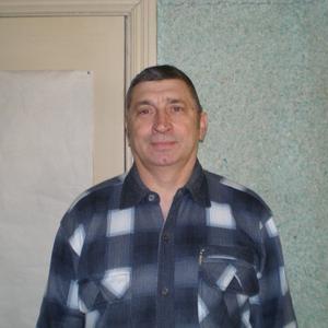 Владимир, 72 года, Борисоглебск