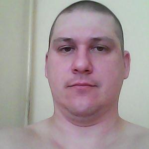 Alex, 44 года, Бердск