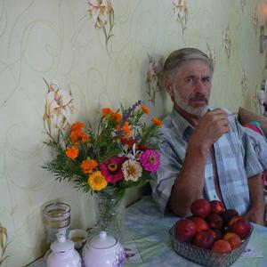 Владимир, 70 лет, Железноводск