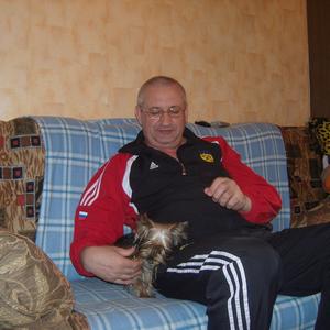 Парни в Новомосковске: Виктор Сорокин, 71 - ищет девушку из Новомосковска